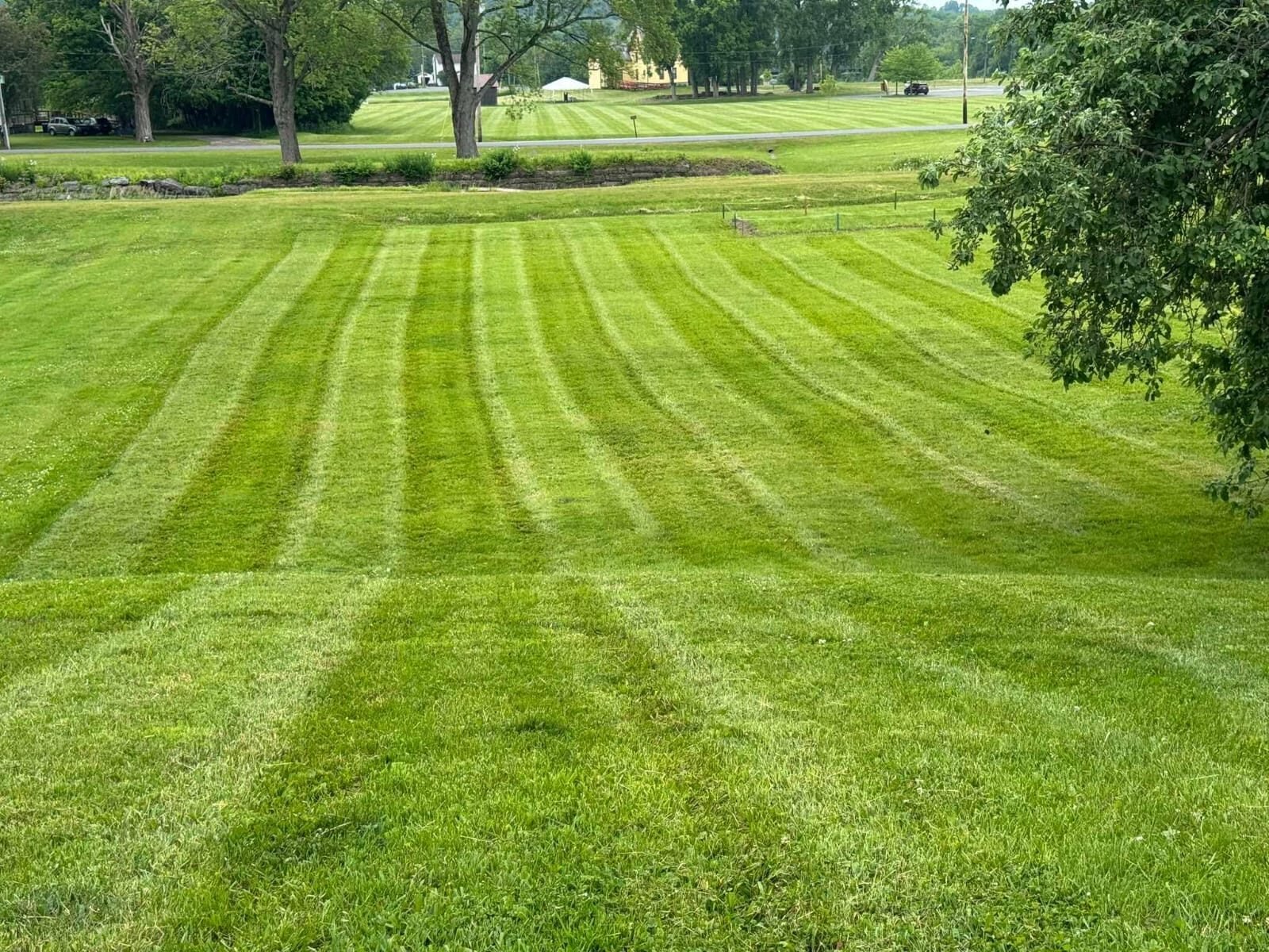 Professional Lawn Striping by Greenscapes Property Management