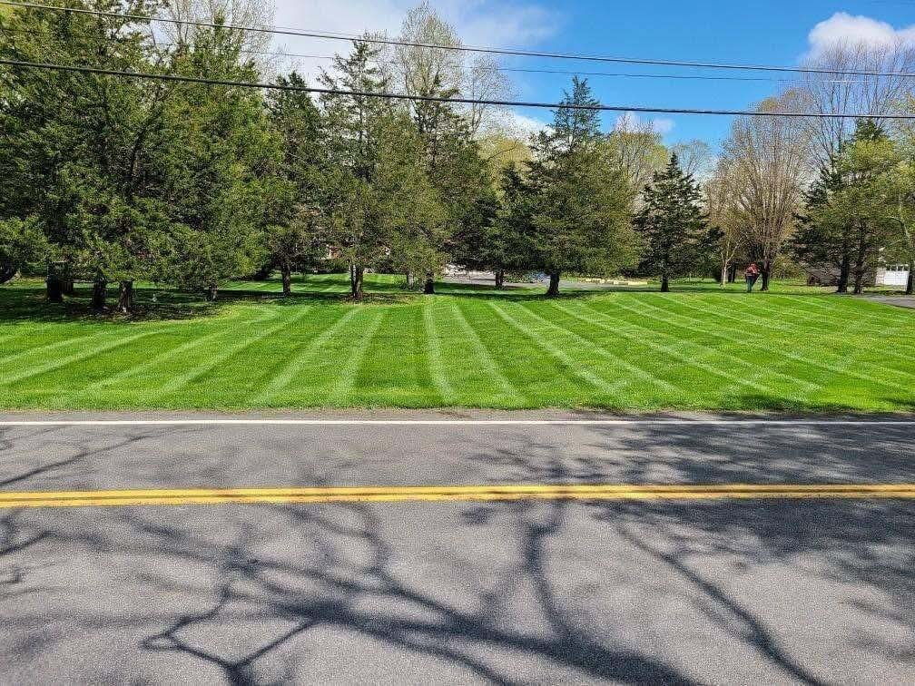 Finished Lawn Project by Greenscapes Property Management